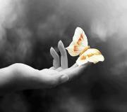 الصورة الرمزية شمع الامل