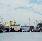 الصورة الرمزية أميرة الحب