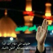 الصورة الرمزية صدى صوت